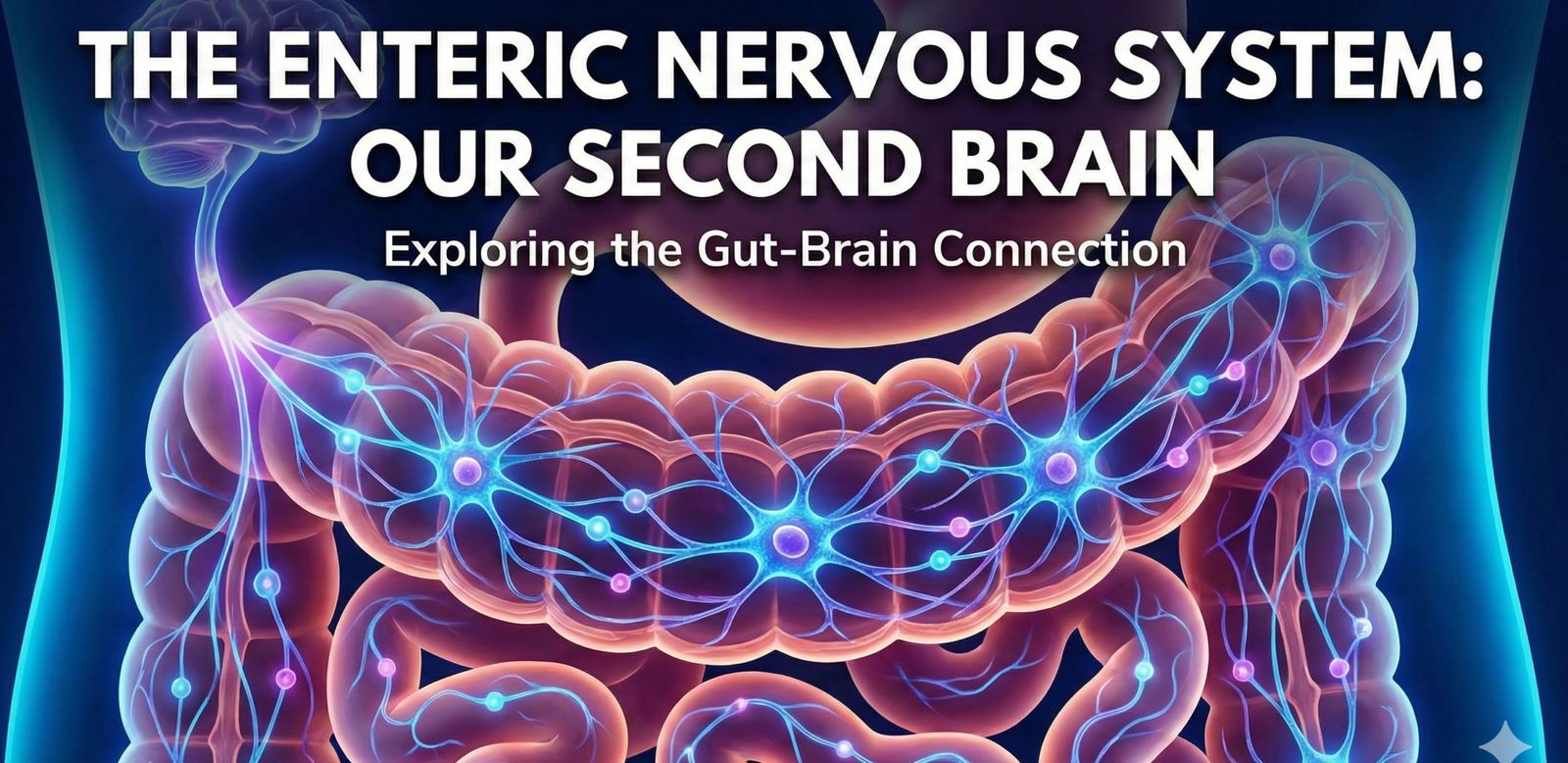The Enteric Nervous System - venkatwrites.com